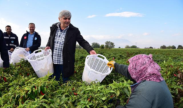 Turgutlu’da Zeytin Emekçilerine Büyükşehir’den Koruyucu Malzeme
