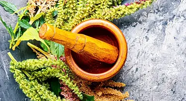 Uzmanı üstüne basa basa uyardı: Diyabeti ortadan kaldıran bitkisel tedavi yok
