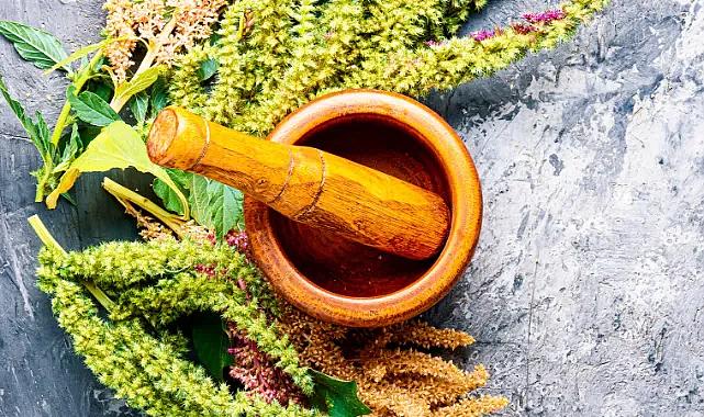 Uzmanı üstüne basa basa uyardı: Diyabeti ortadan kaldıran bitkisel tedavi yok