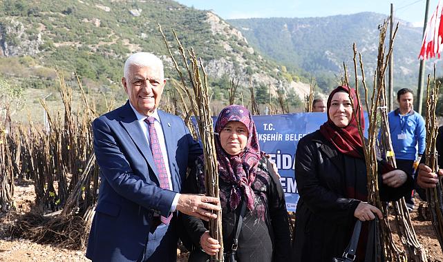 Büyükşehir’den Üreticilere 151 Bin 780 Fidan Desteği