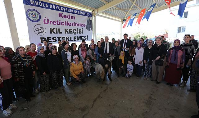 Büyükşehirden Seydikemer’li Kadın Üreticilere Kıl Keçisi Desteği