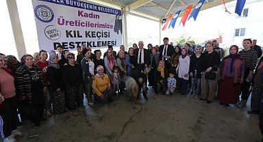 Büyükşehirden Seydikemer’li Kadın Üreticilere Kıl Keçisi Desteği
