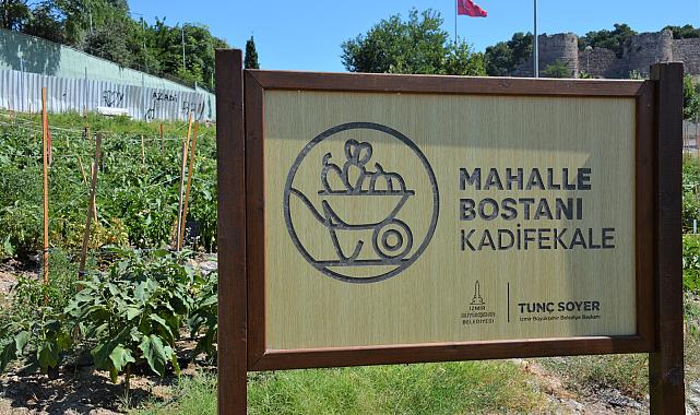 İzmir’de mahalle bostanı üreticileri artık sertifikalı