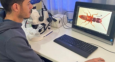 Manisalı öğrenciler yeni bir böcek türü keşfetti