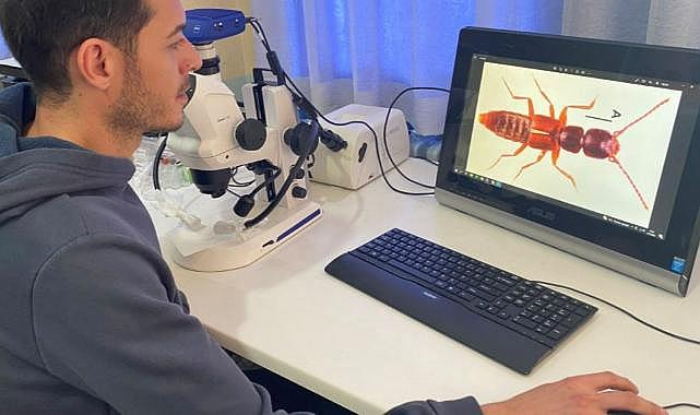 Manisalı öğrenciler yeni bir böcek türü keşfetti