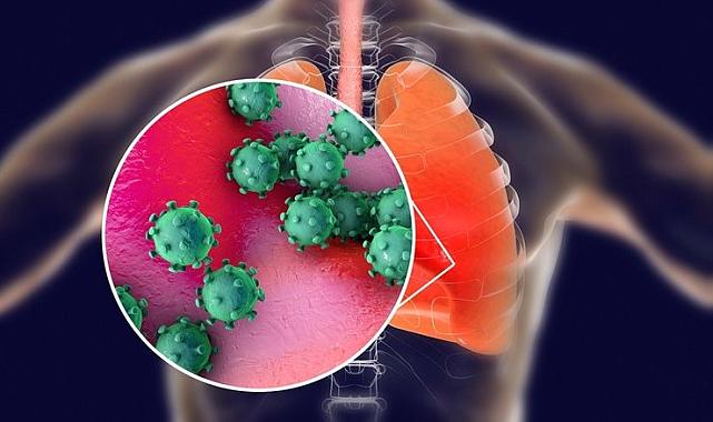 MASKE VE PANDEMİ 2024 YILINDA GERİ Mİ DÖNÜYOR? Japonlar laboratuvarda koronavirüsün varyantlarını mı üretti?