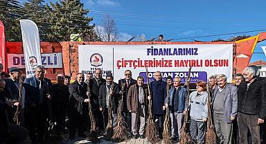 Cevizin merkezi Denizli olacak