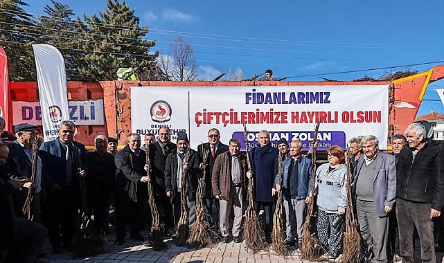 Cevizin merkezi Denizli olacak