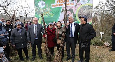 Büyükşehir Üreticilere Meyve Fidanı Dağıtımına Başladı