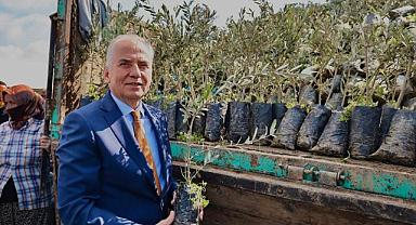 Büyükşehir’in zeytin fidanı seferberliği sürüyor
