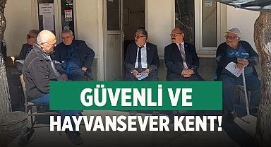 Güvenli ve hayvansever kent!
