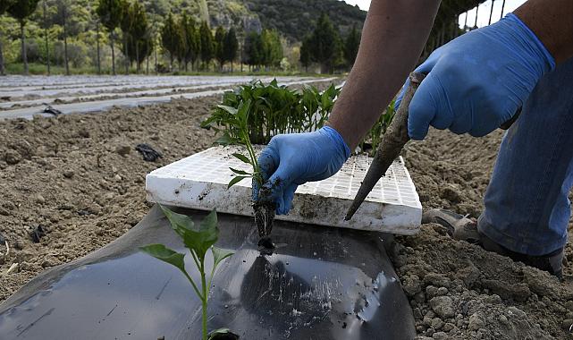 ADABAHÇE’DE YAZ SEZONU HAZIRLIKLARI BAŞLADI
