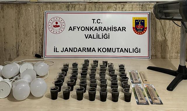 Afyon’da Silahlı Vurulan Şahsın Evinde Kenevir Yetiştirmeye Çalıştığı Ortaya Çıktı