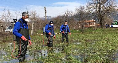 Büyükşehir Vektörle Mücadele Çalışmalarına devam ediyor
