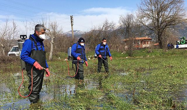 Büyükşehir Vektörle Mücadele Çalışmalarına devam ediyor
