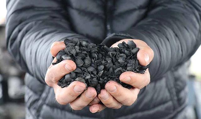 Denizlili Girişimci, Fındık Kabuğundan Kömür Üretti