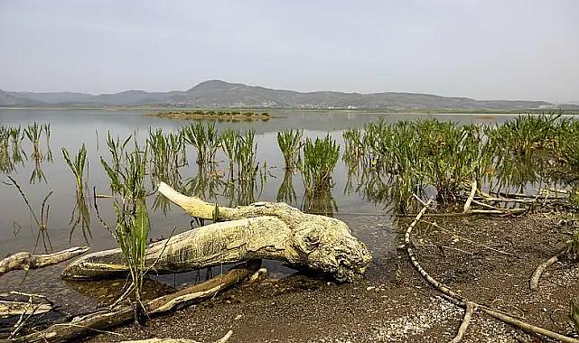 İzmir'de kuraklık alarmı: Tahtalı Barajı'nda 8-9 aylık su kaldı!
