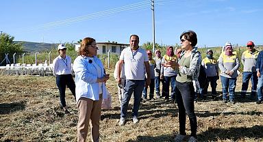 BAŞKAN GENÇAY, ENGİNAR HASADINA KATILDI