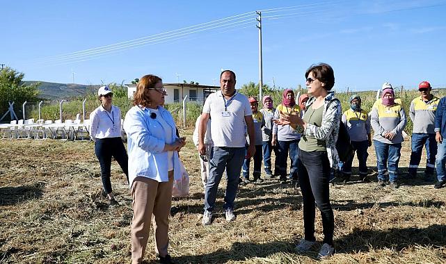 BAŞKAN GENÇAY, ENGİNAR HASADINA KATILDI