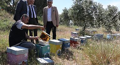 Büyükşehir’den Manisalı Arıcılara Ana Arı Desteği