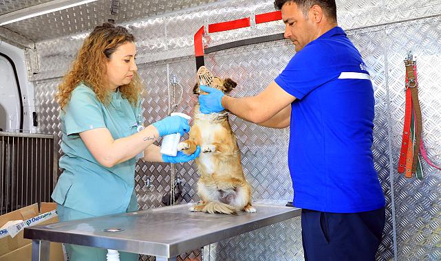 Can dostlar İçin Acil Müdahale Aracı Yollarda