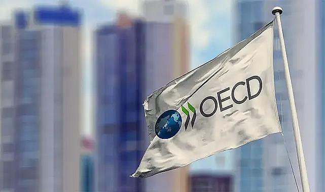 Enflasyon, faiz, işsizlik... | OECD&#039;den iç karartan Türkiye tahmini