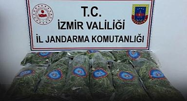 Ev değil esrar yuvası... 10 kilogram esrar ele geçirildi