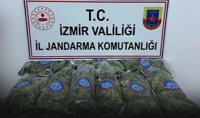 Ev değil esrar yuvası... 10 kilogram esrar ele geçirildi