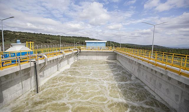 İzmir Büyükşehir Belediyesi’nden açıklama  “Keçilerin ölüm nedeni zehirlenme değil”