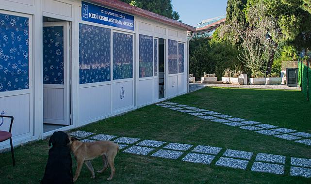 KEDİ KISIRLAŞTIRMA MERKEZİ’NE HAYVANSEVERLERİN İLGİSİ HER GEÇEN GÜN ARTIYOR
