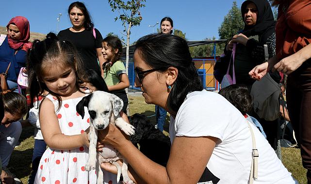 PATİLİ CAN DOSTLAR ARTIK HAFTA SONLARI DA ZİYARET EDİLEBİLECEK