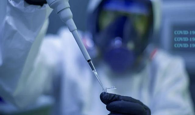 Covid-19’dan 100 kat daha kötü bir virüs yayılıyor