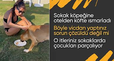 Hande Yener Sokak Köpeğiyle Denize Girerek Tepkisini Gösterdi