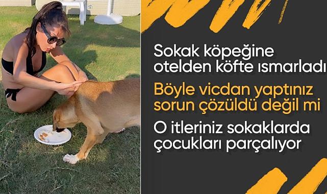 Hande Yener Sokak Köpeğiyle Denize Girerek Tepkisini Gösterdi