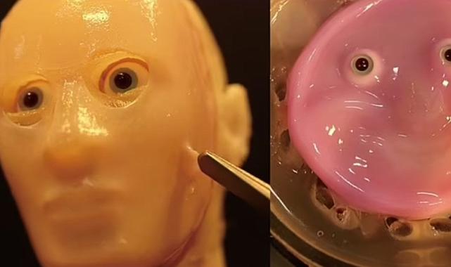 Ürpertici: Canlı deri dokusundan robot yüzü!