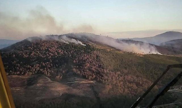 33,5 saatte kontrol altına alınmıştı: Manisa&#039;daki yangında 600 hektar alan zarar gördü