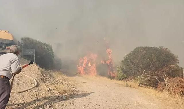 Acil Durum: Çanakkale'deki Orman Yangınında Yayılma Hız Kazanıyor!