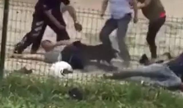 Ağızlıksız gezen yasaklı ırk köpek sokakta adama saldırdı! Olaya polis müdahale etti... Polise "vurma" diyerek feryat etti