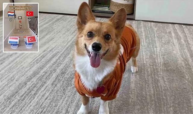 Avusturya maçını skoruna kadar bilmişti! Fenomen köpek, Türkiye-Hollanda maçı için de tahminini yaptı