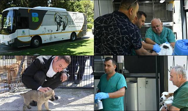 Balıkesir Büyükşehir Belediye Başkanı Akın: Sokak hayvanlarımızın yaşam haklarını engelleyen yasa teklifine ben de &quot;hayır&quot; diyorum