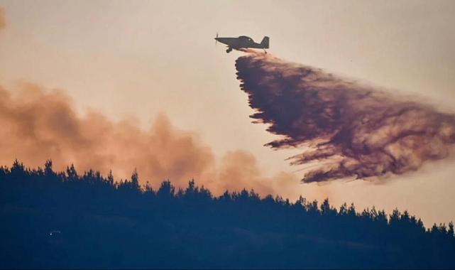 Balıkesir'deki orman yangını kontrol altında alındı