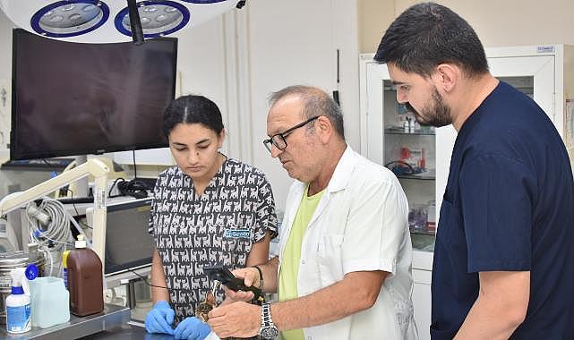 Başkan Yiğit: “Öldürme yasasına karşıyız”