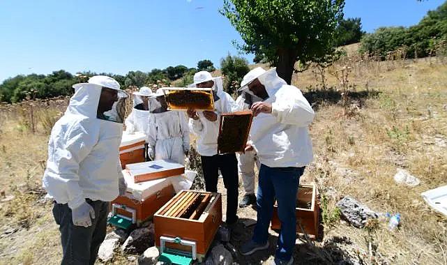 Bornovalı arıcılara yerinde destek