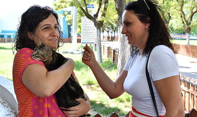 Büyükşehir ‘Can Dostlarımızı’ Hayata Bağlıyor