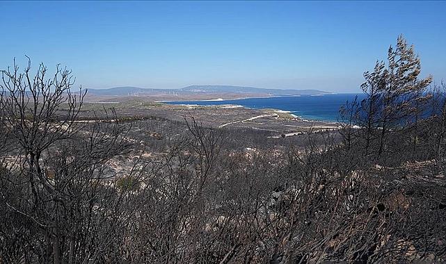 Çeşme'deki yangında 5 gözaltı