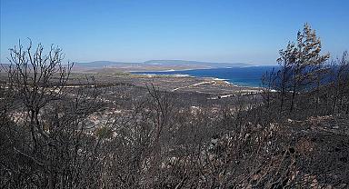 Çeşme'deki yangında 5 gözaltı