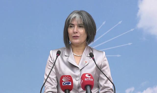CHP Kadın Kolları Başkanlığı İçin Birsen Bayar Adaylığını İlan Etti