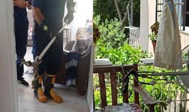 Dörtyol'da yılan telaşı: Evin balkonuna girdi, itfaiye kurtardı