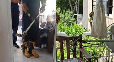 Dörtyol'da yılan telaşı: Evin balkonuna girdi, itfaiye kurtardı