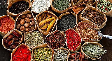 Dünya baharatının rotası Ege’de çizildi